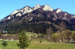 Załączone zdjęcie  